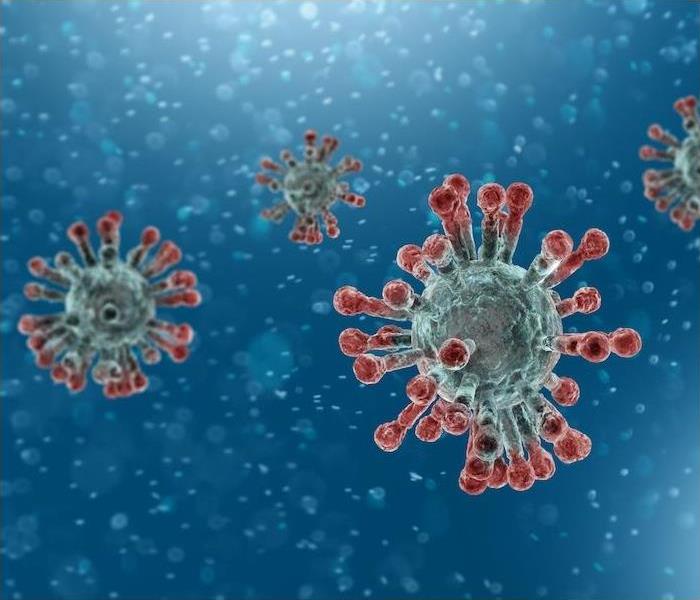 close up of virus cells on a blue background