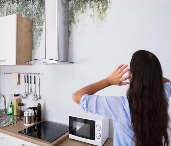 A woman with her hands on her head looking at mold above her kitchen.   