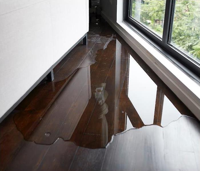 Water pooling on hardwood flooring near window