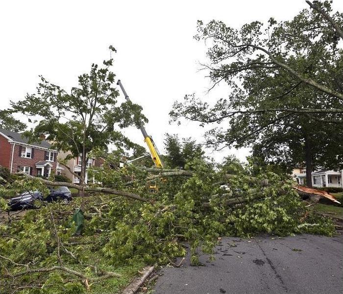 Storm damaged neighborhood; trees down on road