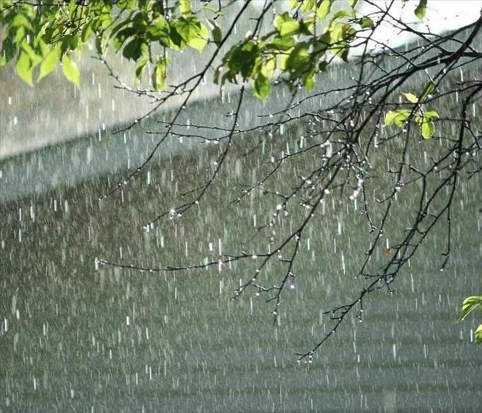 Rain falling, with a home and tree branch in the background.  