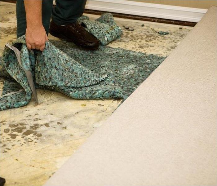 Man removing water damaged carpet padding and carpet