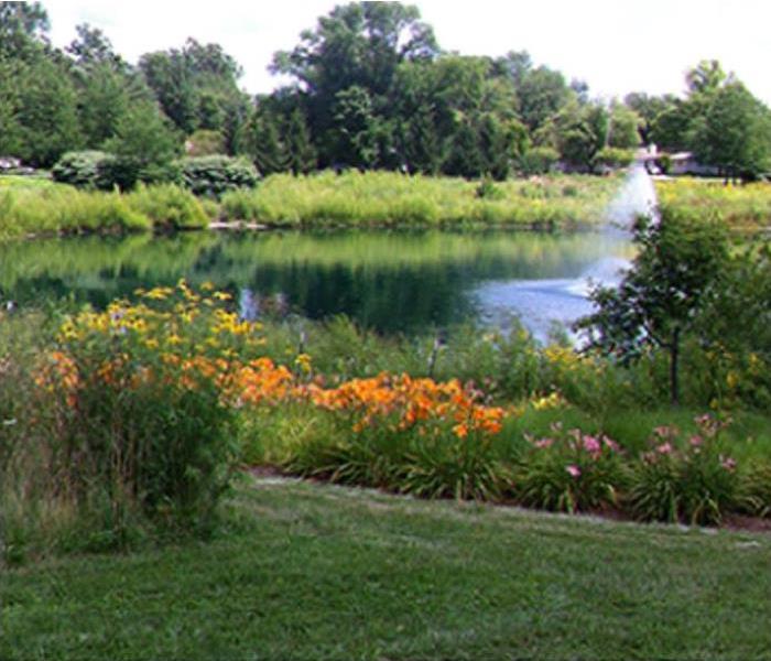 Outdoor park; flowers in foreground; pond and fountain in background